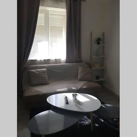 F2 Proche Gare Et Toute Commodite