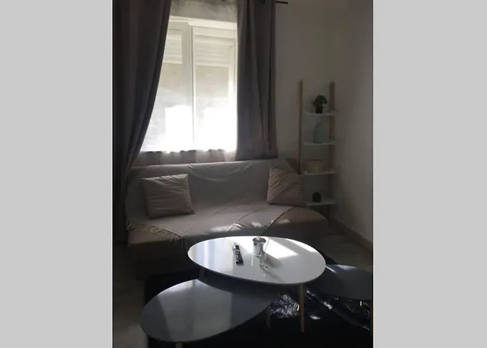 F2 Proche Gare Et Toute Commodite